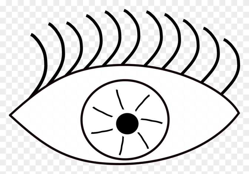 1331x903 Eyeball Eye Clip Art Black And White Image - Owl Eyes Clipart