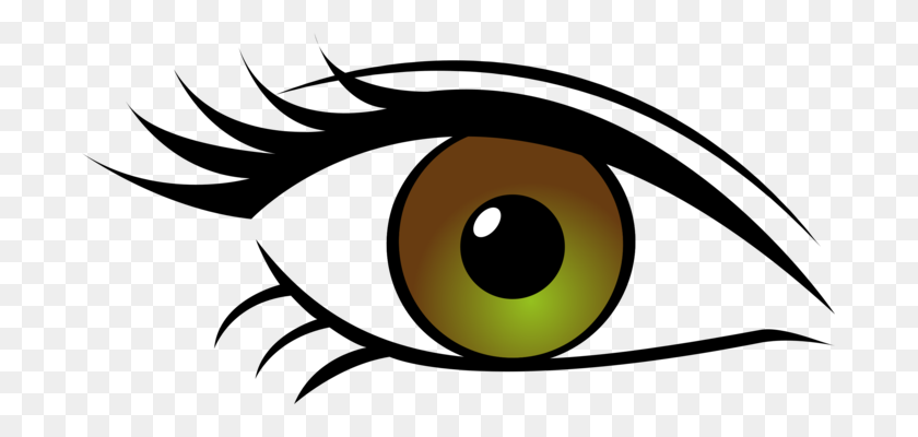 689x340 Eyebrow Woman Eye Color - Hmmm Clipart