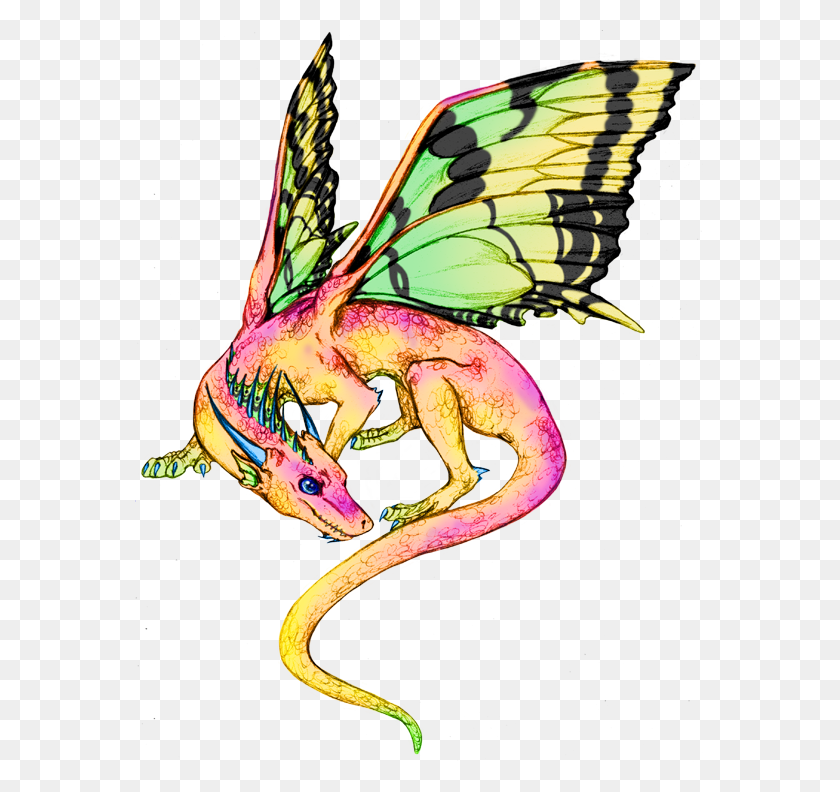 569x732 Fairy Dragon Fairy Dragon Dandd Aanthalincea Fairy Dragon - Dandd Clipart
