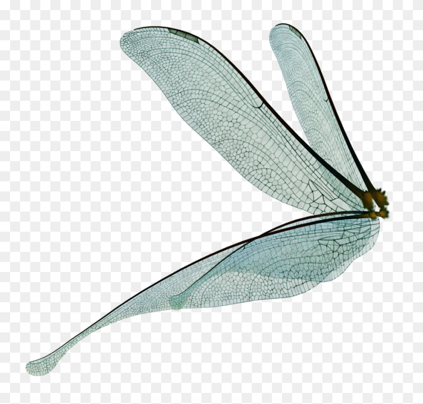 916x872 Fairy Wings Png Png Image - Fairy Wings PNG