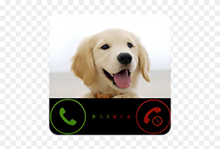 512x512 Fake Call From Dog Prank - Funny Dog PNG