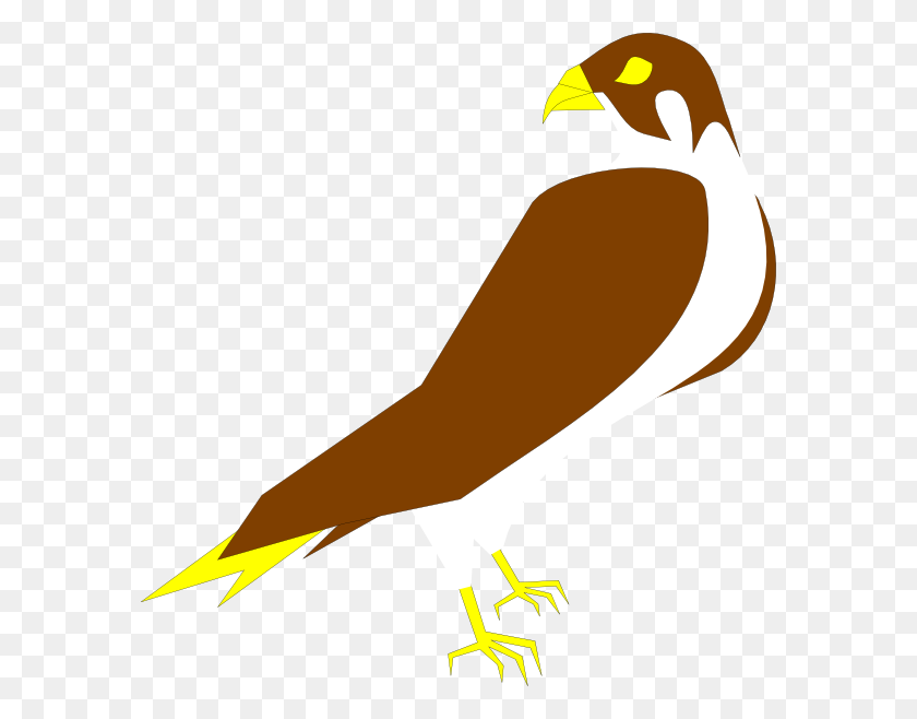 582x598 Falcon Clipart Clip Art - Feather With Birds Clipart