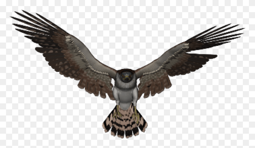 850x466 Falcon Png - Vulture PNG