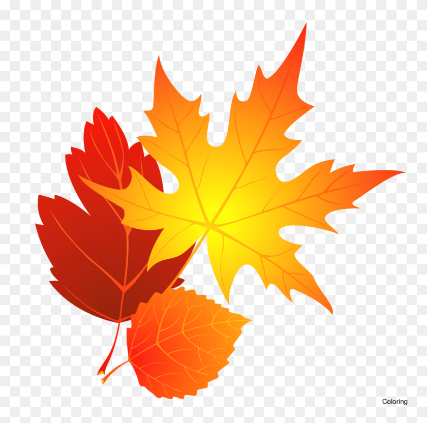 994x985 Otoño Clipart Noviembre - Frontera De Otoño Png