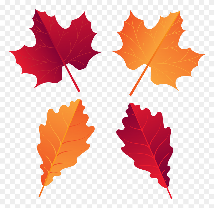 8000x7743 Fall Deco Leaves Png Clip Art - Swamp Clipart