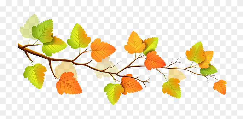 5000x2261 Осенние Цветы Клипарт - Осенние Листья Png