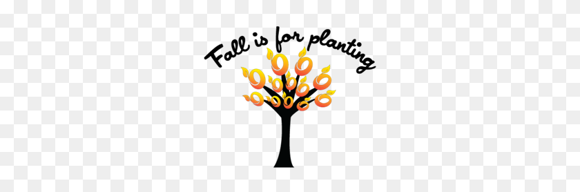258x218 Fall Is A Great Time For Planting Trees And Shrubs - Tree From Above PNG