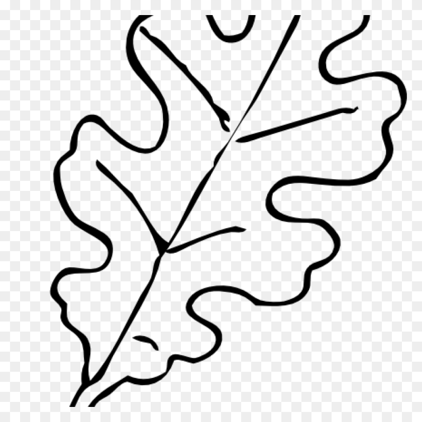 1024x1024 Fall Leaf Outline Template Oak Clip Art Vector Music Clipart - New Year Clipart Black And White