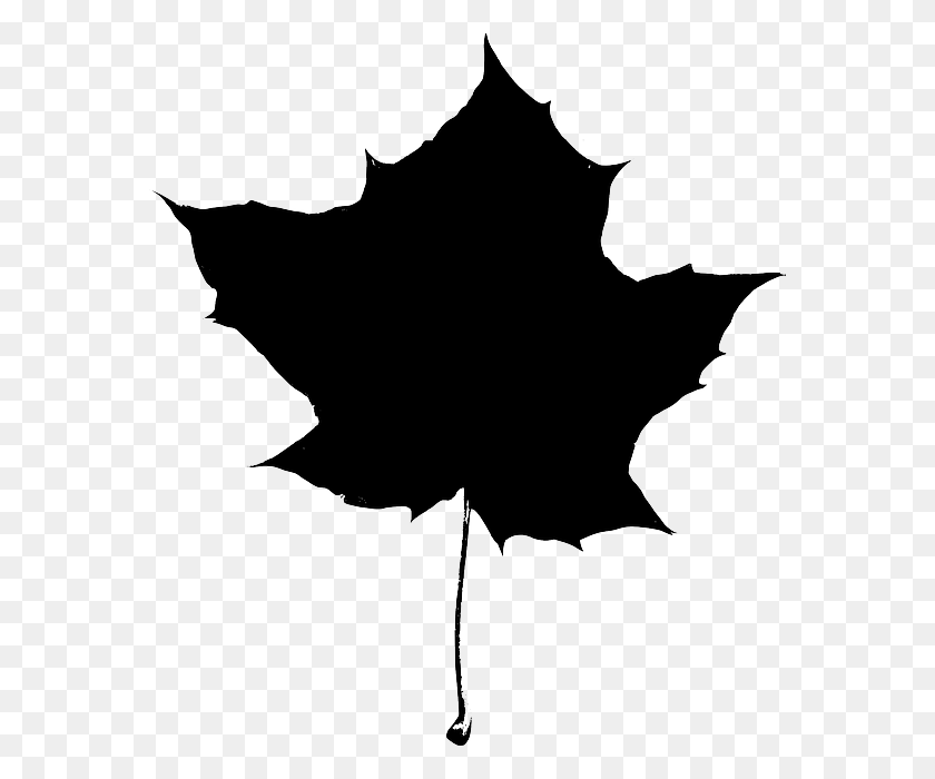 572x640 Осенний Лист Силуэт Клипарт - Осенние Листья Черно-Белые Картинки