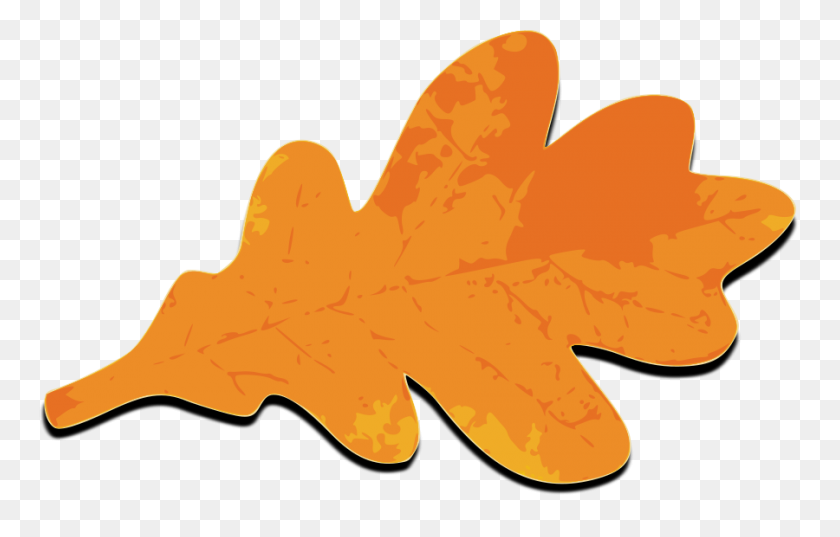 900x551 Png Осенние Листья Оранжевые Листья Клипарт