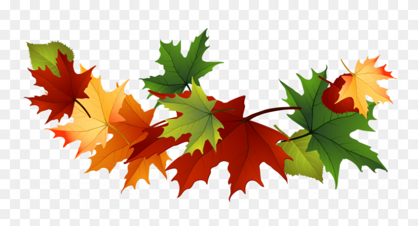 790x400 Fall Leaves - Fall Leaves Clip Art