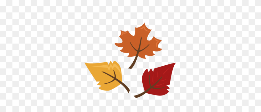 300x300 Fall Leaves Autumn For Scrapbooking Cute - Fall Leaf PNG