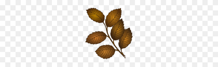 184x198 Fall Leaves Branch Png, Clip Art For Web - Fall Leaves PNG
