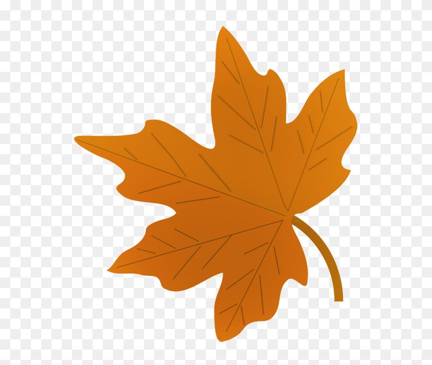 595x650 Осенние Листья Картинки - Оранжевый Лист Клипарт
