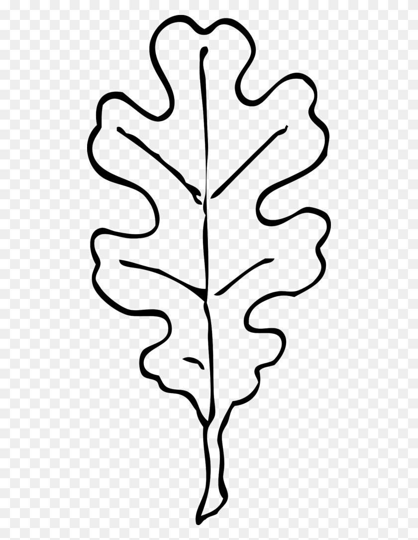 490x1024 Fall Leaves Clip Art Black And White Question Mark Clipart - Maple Leaf Clipart Black And White