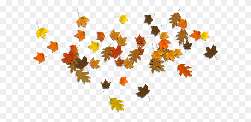 624x350 Осенние Листья Картинки Для Печати Осенние Листья - Оранжевый Лист Клипарт