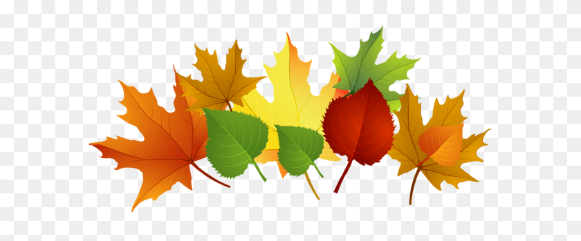 600x289 Fall Leaves Png - Fall PNG