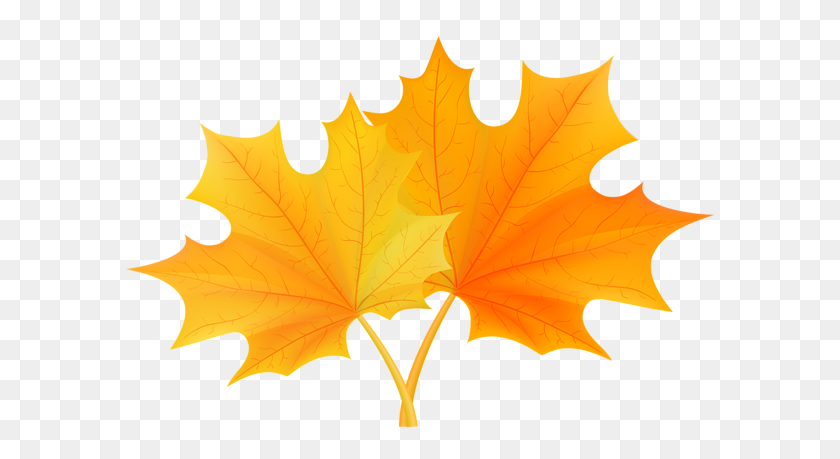 600x399 Fall Leaves Png Clip - Fall Leaves PNG