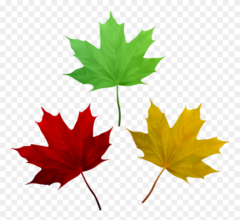 8000x7295 Fall Leaves Set Png Clip Art - Fall Foliage Clipart