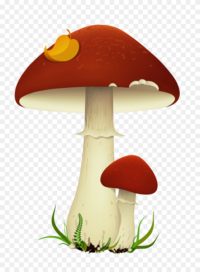 3462x4797 Fall Mushrooms Transparent Png - Mushrooms PNG