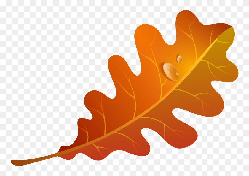 5000x3439 Осенний Апельсиновый Лист Png Клипарт Изображение Высокий Лист Клипарт - Акварельные Листья Png