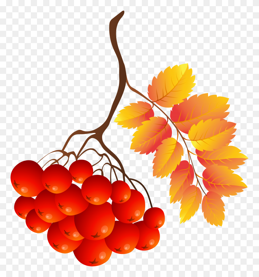 7426x8000 Fall Plant Png Clip Art - Fruit Punch Clipart