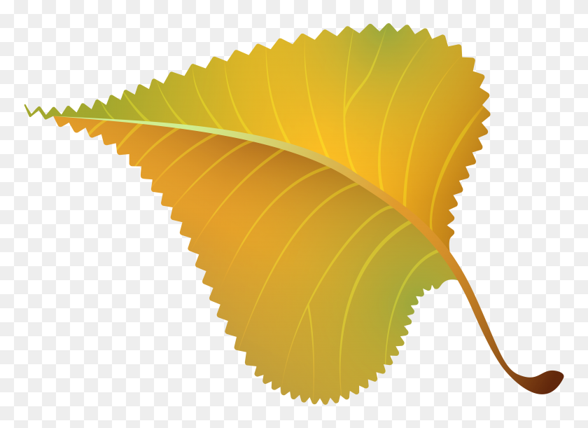 5000x3534 Fall Yellow Leaf Png Clipart - Yellow Leaf Clipart