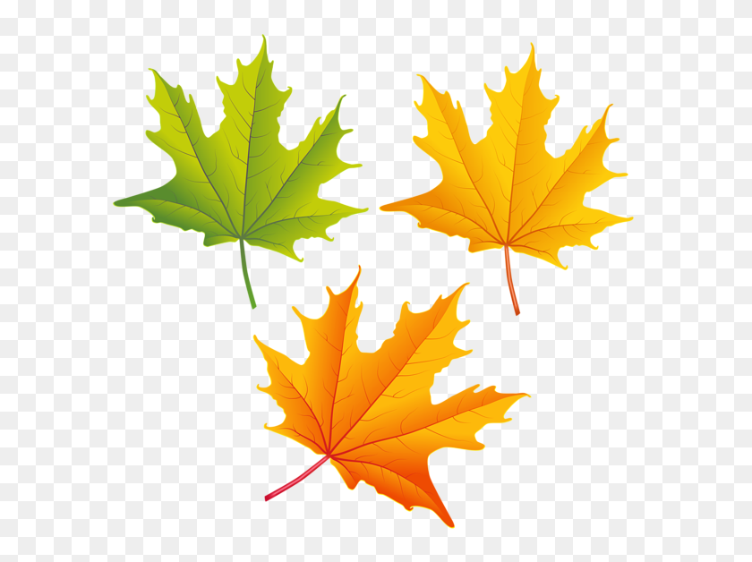 600x568 Falling Autumn Leaves Png High Quality Image Png Arts - Falling PNG
