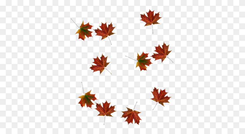 Falling Leaves Transparent Transparent Png Pictures Autumn Leaves Png Stunning Free Transparent Png Clipart Images Free Download