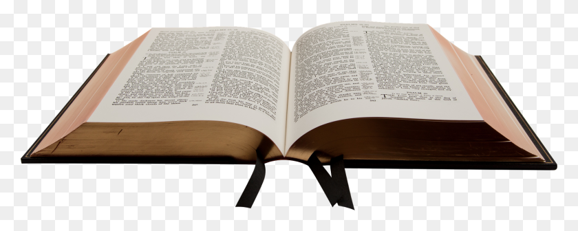 1600x568 Семейное Библейское Рассказывание Историй Сми Изучение Библии - Изучение Библии Png