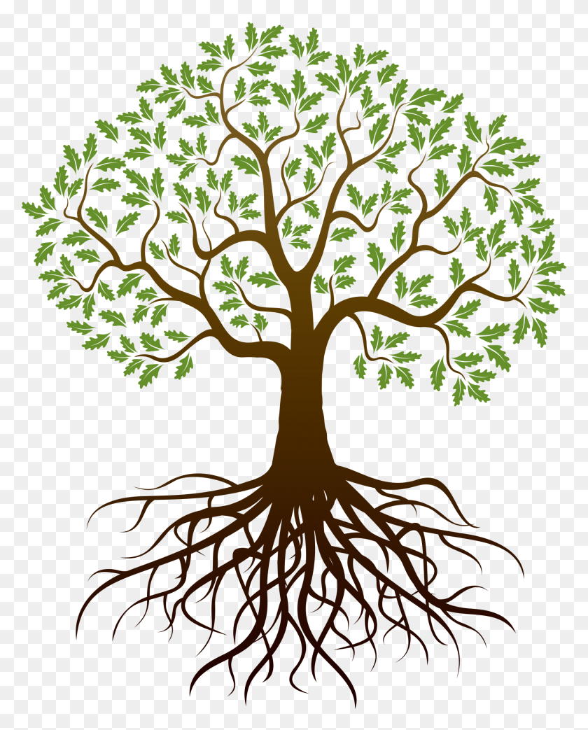 1699x2143 Family Reunion Tree With Roots Clip Art - Family Reunion Tree Clipart