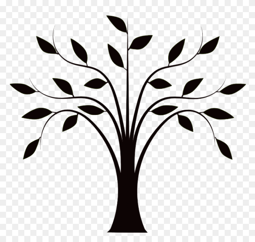 835x793 Генеалогическое Древо Листьев Шаблон - Ствол Дерева Клипарт Черный И Белый