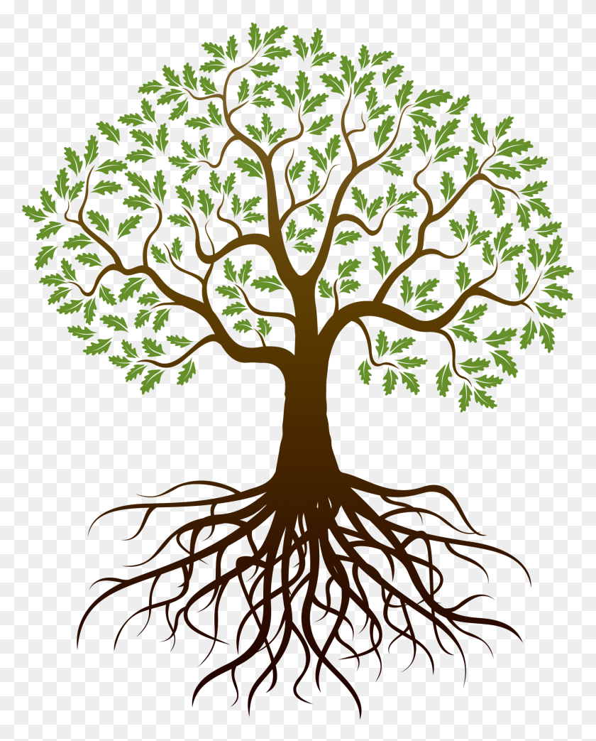 Family Tree Png Transparent Images Transparent Tree With Roots Clipart Stunning Free Transparent Png Clipart Images Free Download