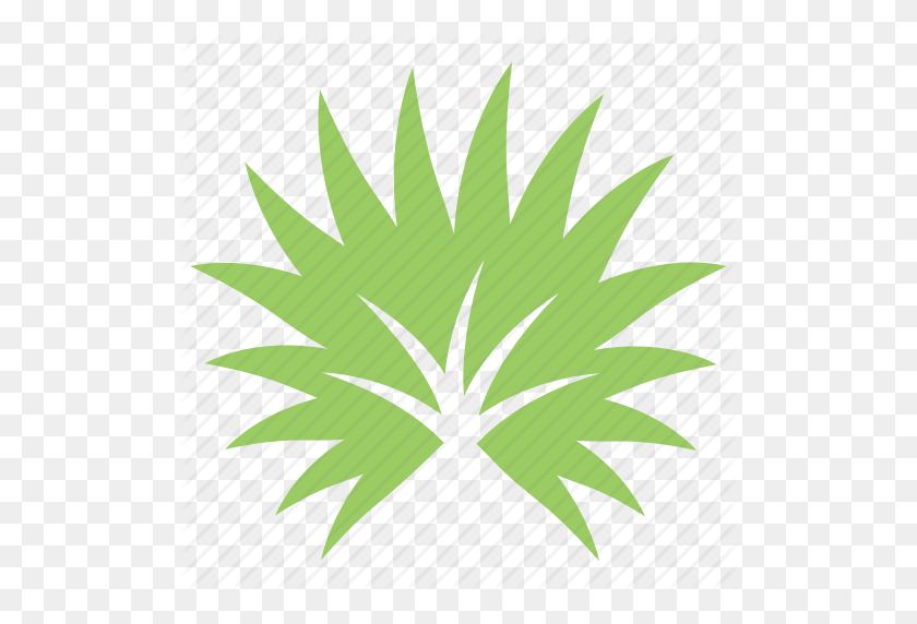 512x512 Fan Palm, Palm Leaf, Palm Sunday Leaf, Palmetto Leaf, Tropical - Palm Leaves PNG