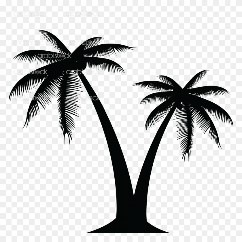 1181x1181 Необычный Силуэт Пальмы Черный Вектор Одной Пальмы - Силуэт Дерева Png