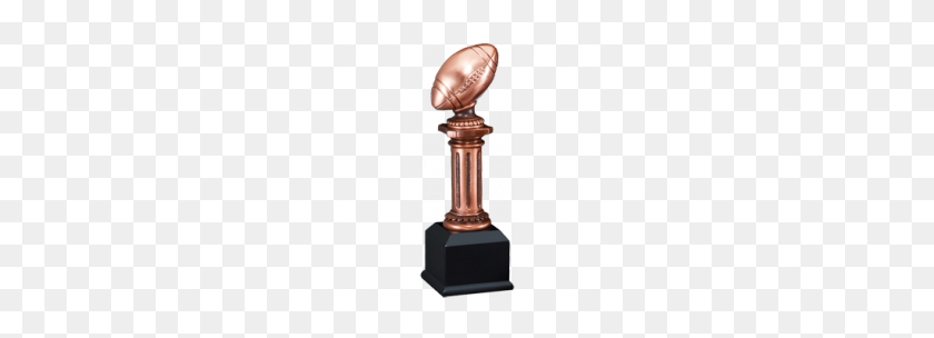 244x244 Fantasy Football Trophies Paradise Awards - Trophies PNG