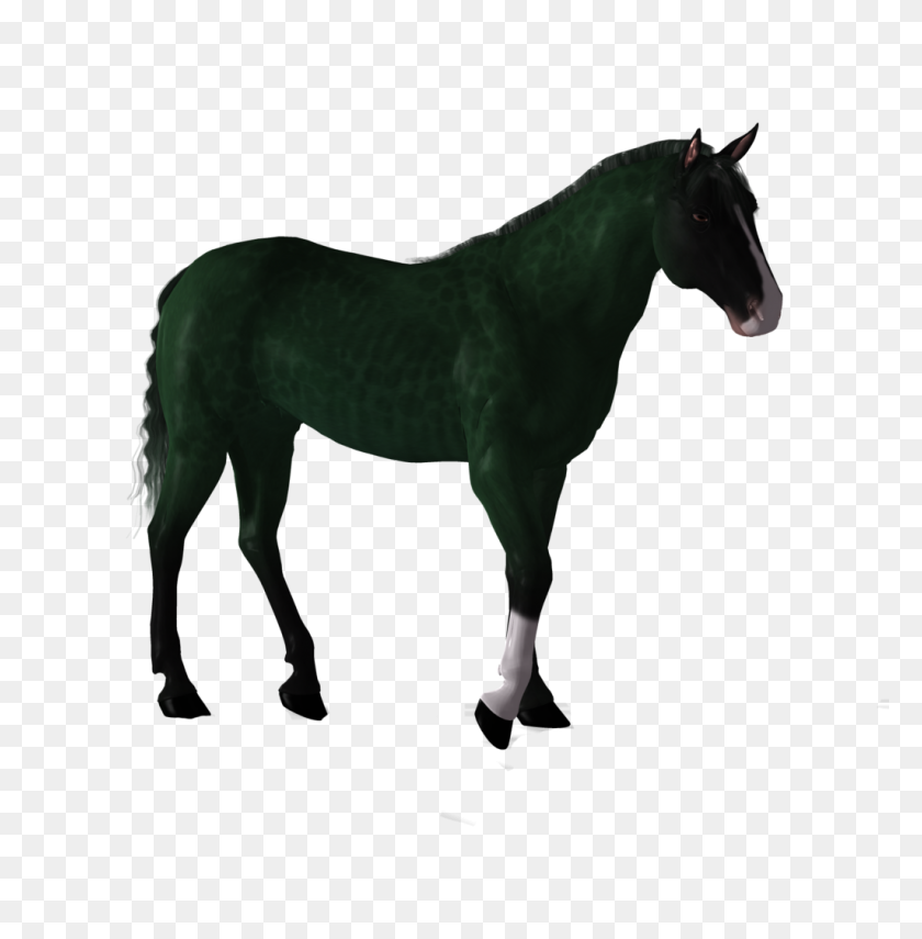 1024x1045 Fantasy Horse Png Stock - Horse PNG