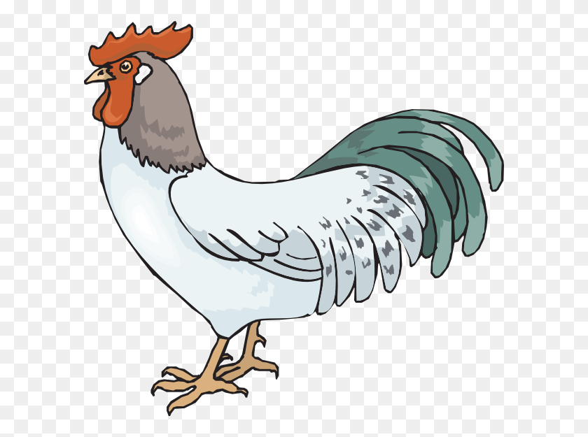 600x565 Farm Rooster Clip Art - Rooster Images Clip Art
