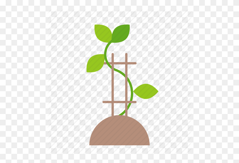 512x512 Farm, Seedling, Sprout, Tree, Young Plant Icon - Seedling PNG