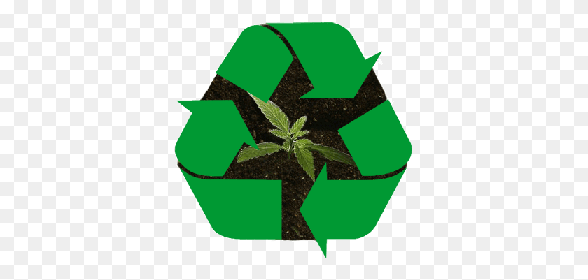 341x341 Servicios De Residuos De Agricultores - Cannabis Png