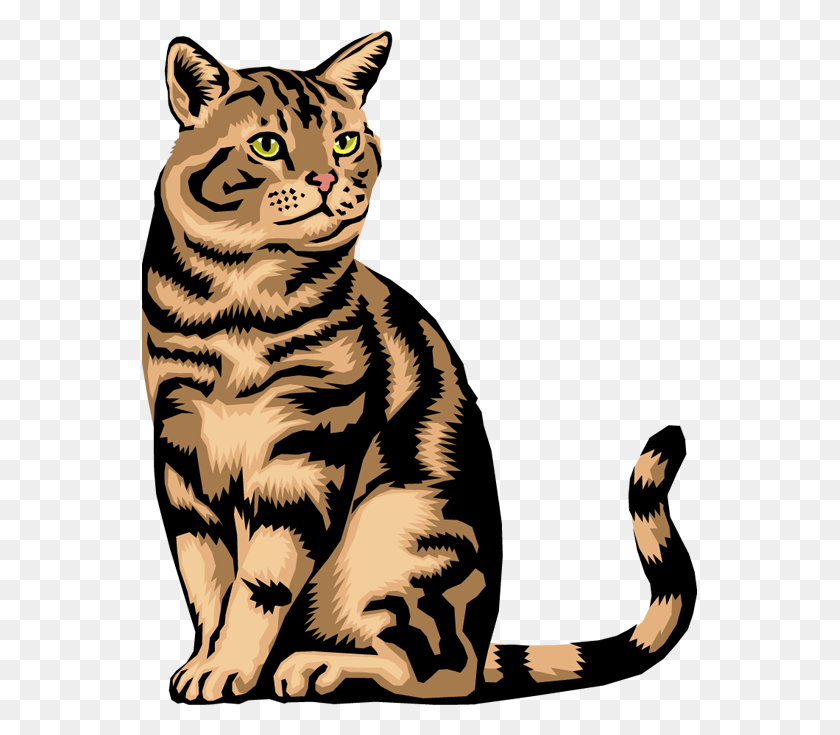 555x675 Fat Cat Clipart Group With Items - Fat Person Clipart
