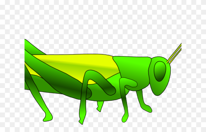 640x480 Fauna Clipart Grasshopper Locust Encapsulated Postscript - Consumer Clipart