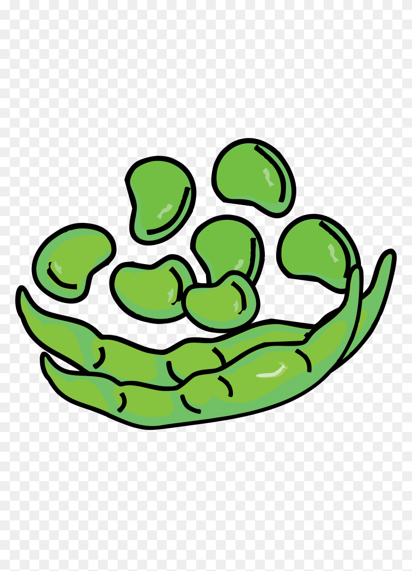 2400x3394 Fava Beans Icons Png - Bean PNG