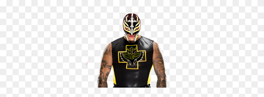 353x250 Favourites - Rey Mysterio PNG