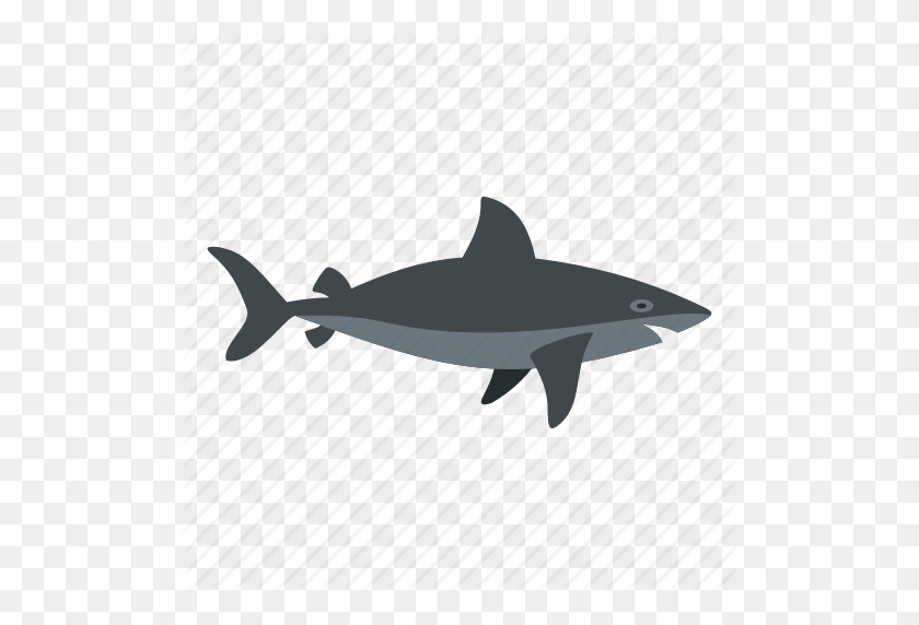 512x512 Страх, Рыба, Ужас, Хищник, Море, Акула, Значок Зубы - Зубы Акулы Png