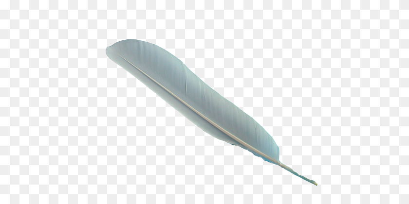 480x360 Feather - Feather PNG