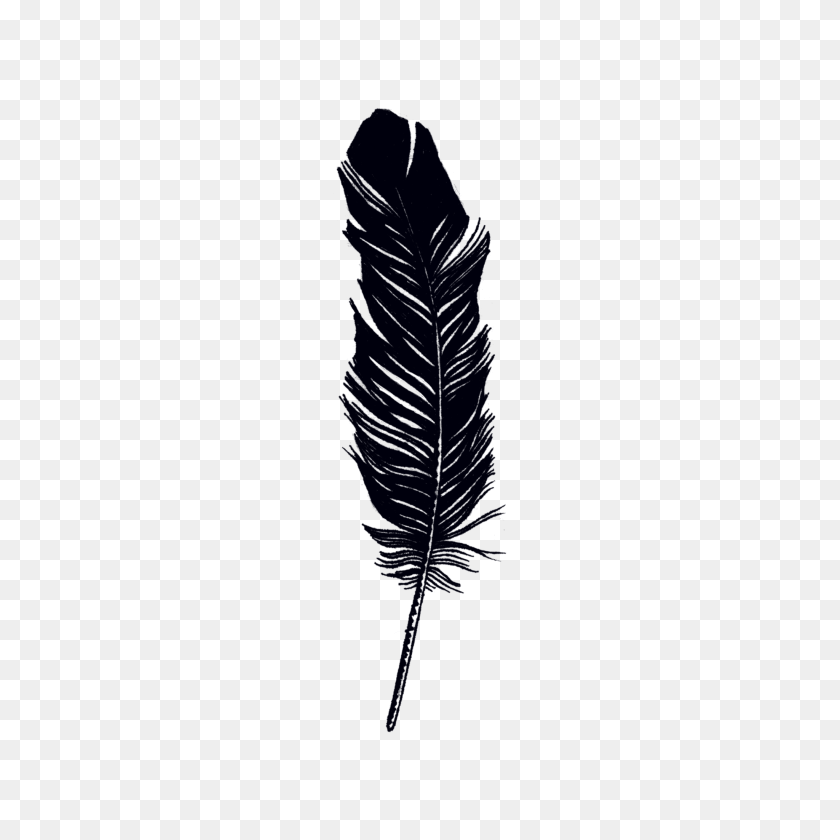 2048x2048 Feather - Feather PNG