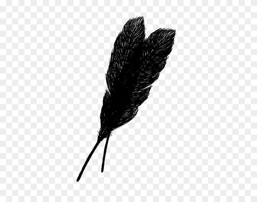 600x600 Feather Archaeopteryx - Black Feather PNG