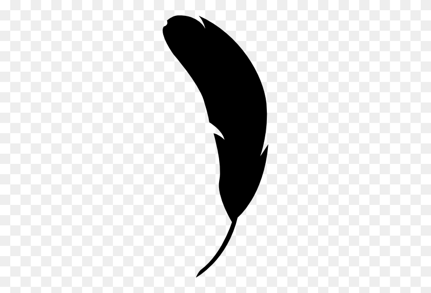 512x512 Feather Bird Shape Computer Icons Animal - Black Feather PNG