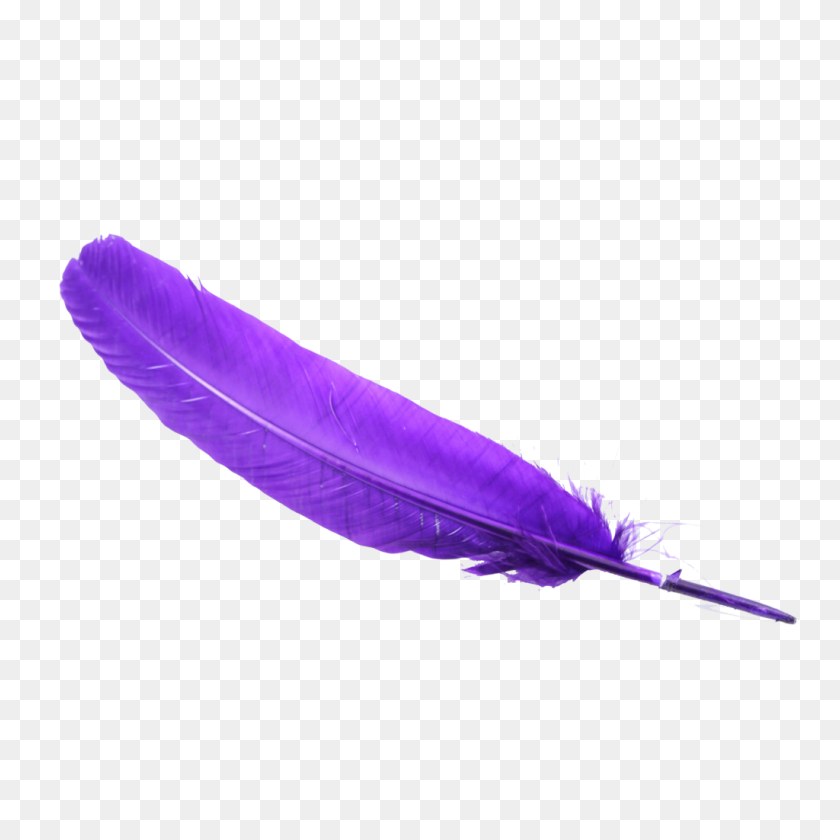 1024x1024 Feather Clipart Purple - Feather With Birds Clipart